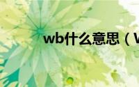 wb什么意思（WB是什么简称）