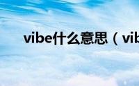 vibe什么意思（vibe中文是什么意思）