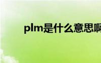 plm是什么意思啊（plm简单介绍）