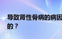 导致肾性骨病的病因中,下列哪一项是不正确的？