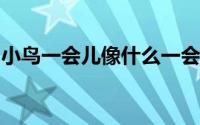 小鸟一会儿像什么一会儿像什么一会儿像什么