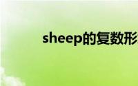 sheep的复数形式be动词怎么用