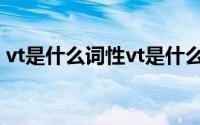 vt是什么词性vt是什么意思（vt是那种词性）