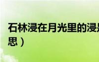 石林浸在月光里的浸是什么意思（浸是什么意思）