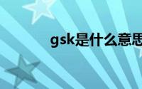 gsk是什么意思（gsk的含义）