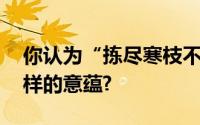 你认为“拣尽寒枝不肯栖,寂寞沙洲冷”有怎样的意蕴?