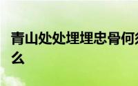 青山处处埋埋忠骨何须马革裹尸还的意思是什么