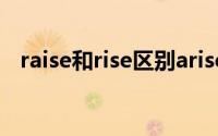 raise和rise区别arise（raise和rise区别）