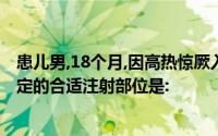 患儿男,18个月,因高热惊厥入院,护士根据医嘱肌肉注射安痛定的合适注射部位是: