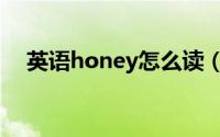 英语honey怎么读（英语honey的读音）