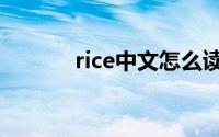 rice中文怎么读（rice的意思）