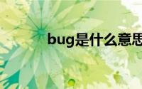 bug是什么意思（bug的意思）