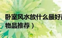 卧室风水放什么最好最吉利（旺财又招好运的物品推荐）