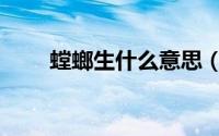 螳螂生什么意思（螳螂生简单释义）