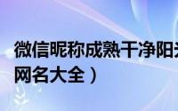 微信昵称成熟干净阳光霸气（干净阳光的男生网名大全）