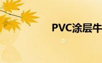 PVC涂层牛津布是什么