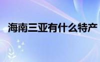 海南三亚有什么特产（海南三亚特产推荐）