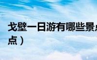 戈壁一日游有哪些景点（戈壁一日游有什么景点）