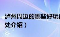 泸州周边的哪些好玩的地方（泸州周边的好去处介绍）