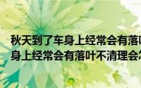 秋天到了车身上经常会有落叶需要及时清理吗（秋天到了车身上经常会有落叶不清理会怎样）