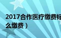 2017合作医疗缴费标准（2018年合作医疗怎么缴费）