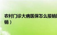 农村门诊大病医保怎么报销比例（农村门诊大病医保怎么报销）