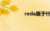 reda属于什么档次面料