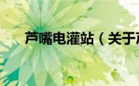 芦嘴电灌站（关于芦嘴电灌站的简介）