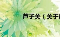 芦子关（关于芦子关的简介）