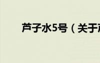 芦子水5号（关于芦子水5号的简介）