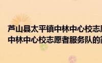 芦山县太平镇中林中心校志愿者服务队（关于芦山县太平镇中林中心校志愿者服务队的简介）