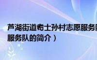 芦湖街道耇士孙村志愿服务队（关于芦湖街道耇士孙村志愿服务队的简介）