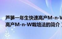 芦笋一年生快速高产M-n-W栽培法（关于芦笋一年生快速高产M-n-W栽培法的简介）