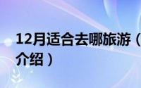 12月适合去哪旅游（12月适合去旅游的地方介绍）