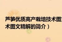 芦笋优质高产栽培技术图文精解（关于芦笋优质高产栽培技术图文精解的简介）