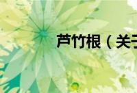 芦竹根（关于芦竹根的简介）