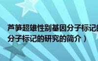 芦笋超雄性别基因分子标记的研究（关于芦笋超雄性别基因分子标记的研究的简介）