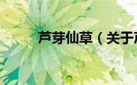 芦芽仙草（关于芦芽仙草的简介）