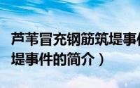 芦苇冒充钢筋筑堤事件（关于芦苇冒充钢筋筑堤事件的简介）