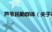 芦苇民勤群体（关于芦苇民勤群体的简介）