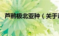 芦鹀极北亚种（关于芦鹀极北亚种的简介）