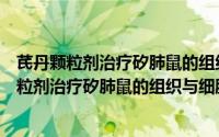 芪丹颗粒剂治疗矽肺鼠的组织与细胞效应研究（关于芪丹颗粒剂治疗矽肺鼠的组织与细胞效应研究的简介）