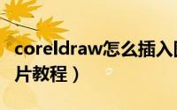 coreldraw怎么插入图片（coreldraw插入图片教程）