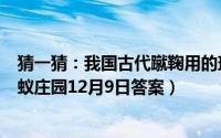 猜一猜：我国古代蹴鞠用的球曾用哪种材料制作（支付宝蚂蚁庄园12月9日答案）