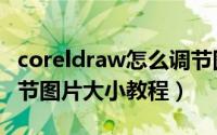 coreldraw怎么调节图片大小（coreldraw调节图片大小教程）