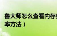 鲁大师怎么查看内存频率（鲁大师查看内存频率方法）