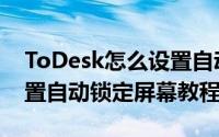 ToDesk怎么设置自动锁定屏幕（ToDesk设置自动锁定屏幕教程）