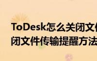 ToDesk怎么关闭文件传输提醒（ToDesk关闭文件传输提醒方法）