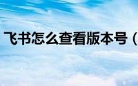 飞书怎么查看版本号（飞书查看版本号教程）