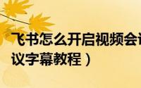 飞书怎么开启视频会议字幕（飞书开启视频会议字幕教程）